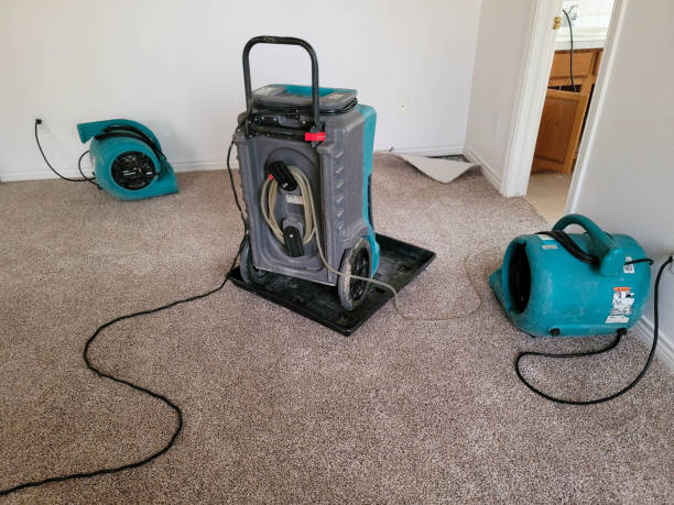 Best Flooded house restoration  in Mount Kisco, NY