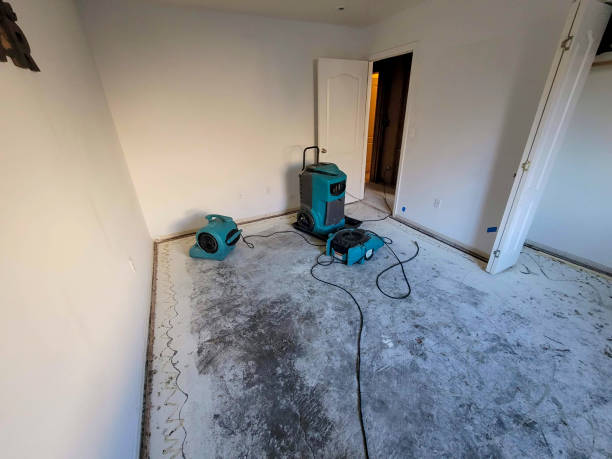 Best Basement water damage restoration  in Mount Kisco, NY