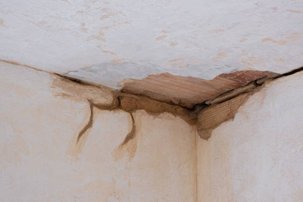 Best Water damage restoration specialists  in Mount Kisco, NY