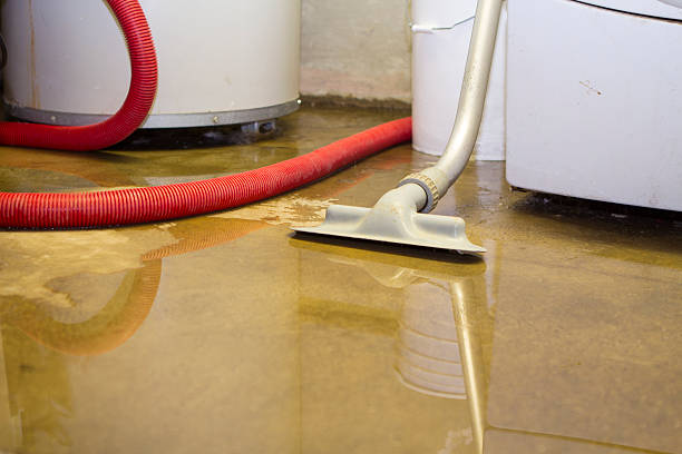 Best 24/7 water damage repair  in Mount Kisco, NY