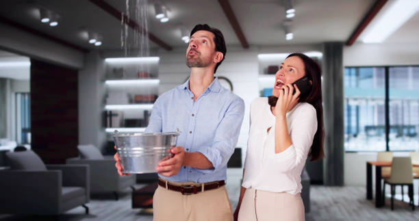 Best Water damage repair service  in Mount Kisco, NY