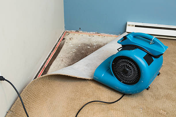 Best Water damage cleanup near me  in Mount Kisco, NY